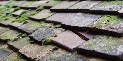 Borth roof repair costs